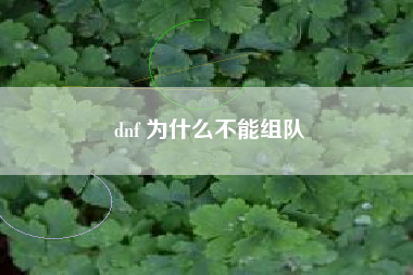 dnf 为什么不能组队