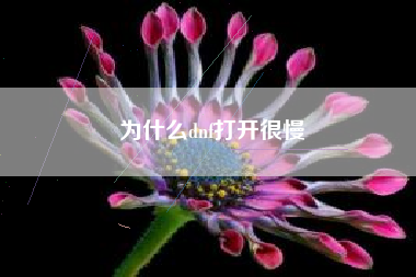 为什么dnf打开很慢