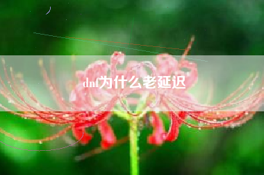 dnf为什么老延迟