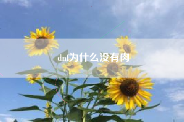 dnf为什么没有肉