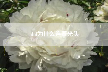 dnf为什么连着光头