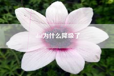 dnf为什么降级了