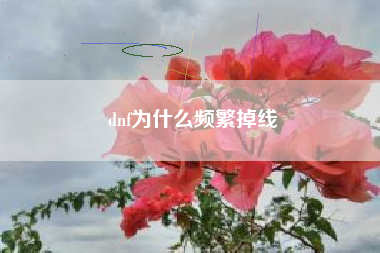 dnf为什么频繁掉线