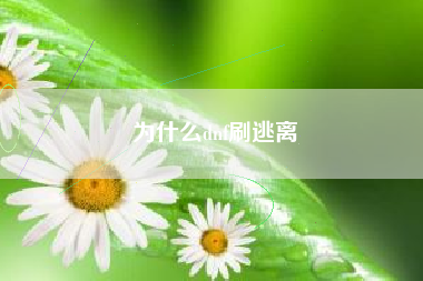 为什么dnf刷逃离
