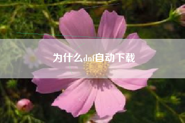 为什么dnf自动下载