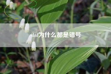 dnf为什么都是错号