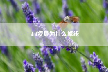 dnf凌晨为什么掉线