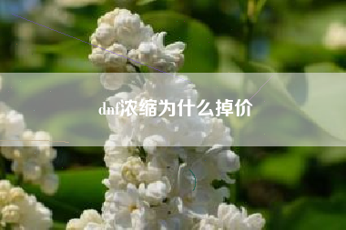 dnf浓缩为什么掉价