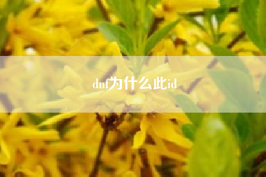 dnf为什么此id