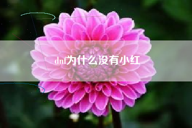 dnf为什么没有小红