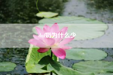 dnf奶为什么少