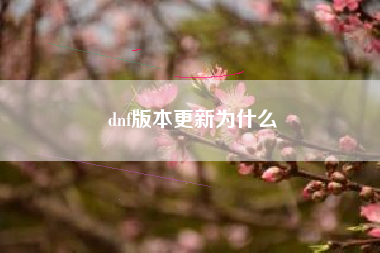 dnf版本更新为什么