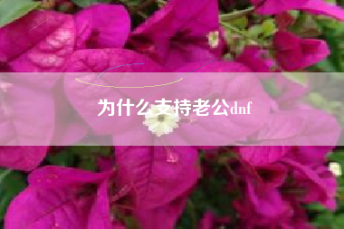 为什么支持老公dnf