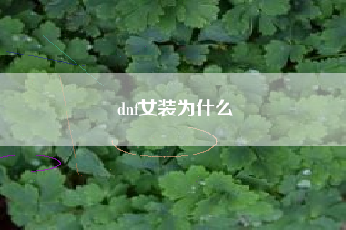 dnf女装为什么