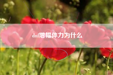 dnf增幅体力为什么