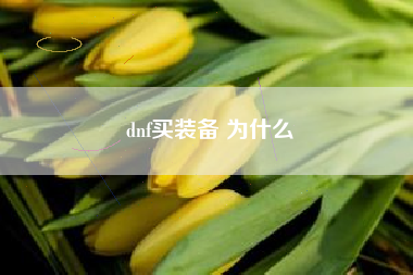 dnf买装备 为什么