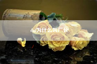 dnf为什么叫厂长