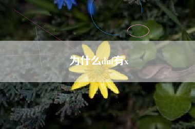 为什么dnf有x