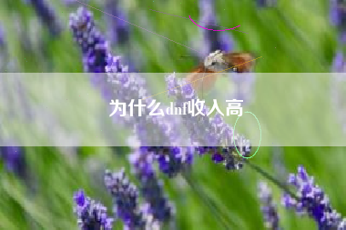 为什么dnf收入高