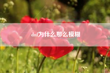 dnf为什么那么模糊