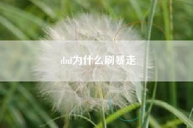 dnf为什么刷暴走