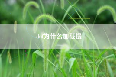 dnf为什么加载慢