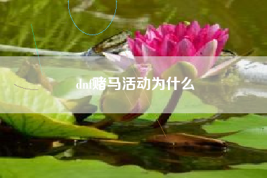 dnf赌马活动为什么
