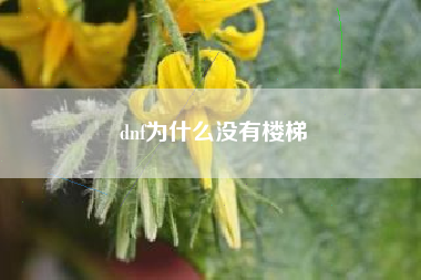 dnf为什么没有楼梯
