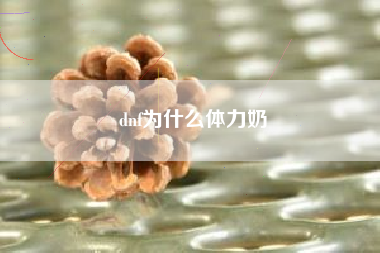 dnf为什么体力奶