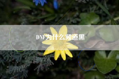 DNF为什么频道黑