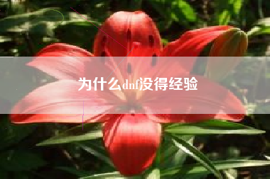 为什么dnf没得经验