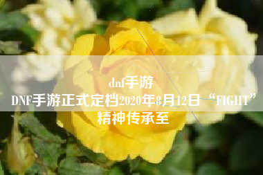 dnf手游 
DNF手游正式定档2020年8月12日“FIGHT”精神传承至