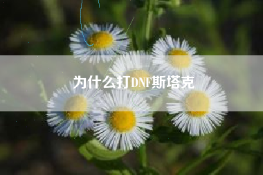 为什么打DNF斯塔克