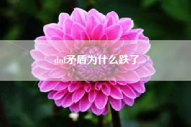 dnf矛盾为什么跌了