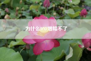 为什么DNF增幅不了