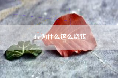 dnf为什么这么烧钱