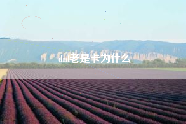 dnf老是卡为什么