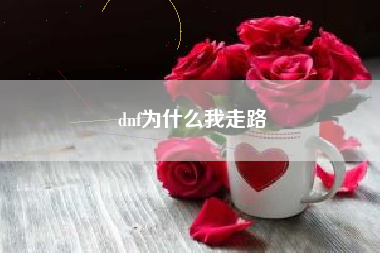 dnf为什么我走路