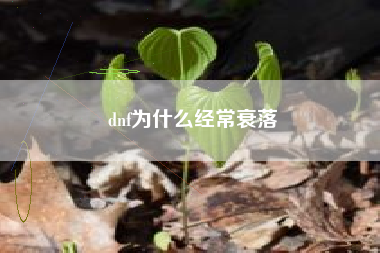 dnf为什么经常衰落