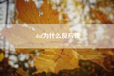 dnf为什么反应慢