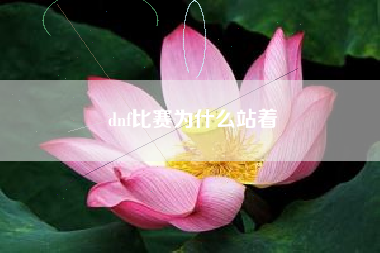 dnf比赛为什么站着