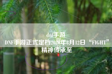 dnf手游 
DNF手游正式定档2020年8月12日“FIGHT”精神传承至