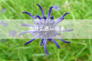 为什么进dnf很卡
