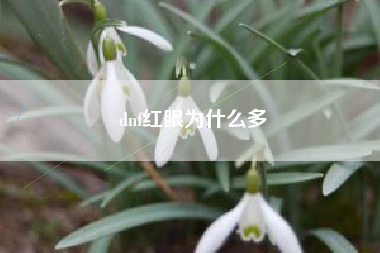 dnf红眼为什么多