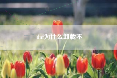 dnf为什么卸载不