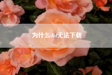 为什么dnf无法下载