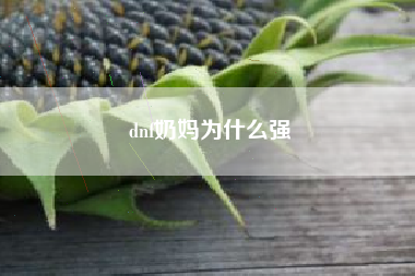 dnf奶妈为什么强