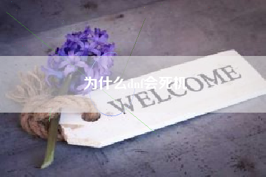 为什么dnf会死机
