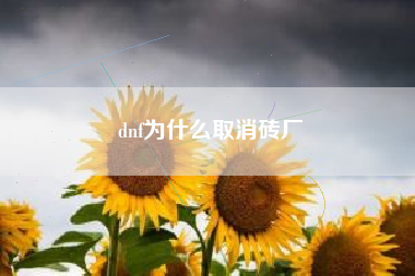 dnf为什么取消砖厂