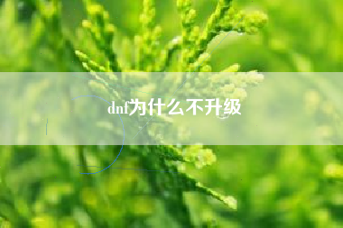 dnf为什么不升级